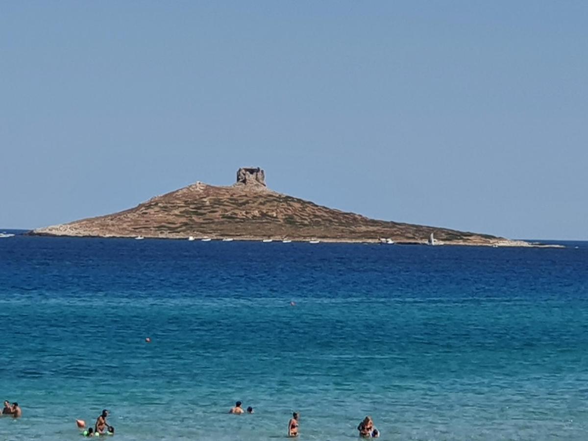 Casetta Delle Mimose Isola delle Femmine Zewnętrze zdjęcie